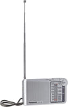Panasonic Portable AM/FM Pocket Radio - Silver - RFP150DEG-S