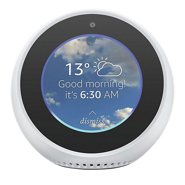 Cheap amazon echo deals spot