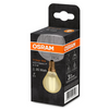 Osram 1906 LED E14 Vintage Filament Glass SES Light Bulb | Mini Globe 25W - Gold - LV293496